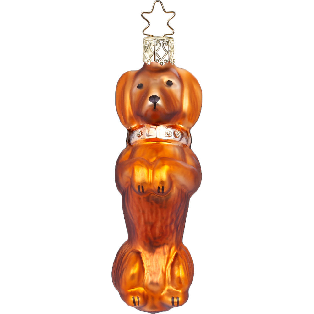 inge-glas-christbaumkugel-alles-f-r-den-dackel-9-5-cm image 1