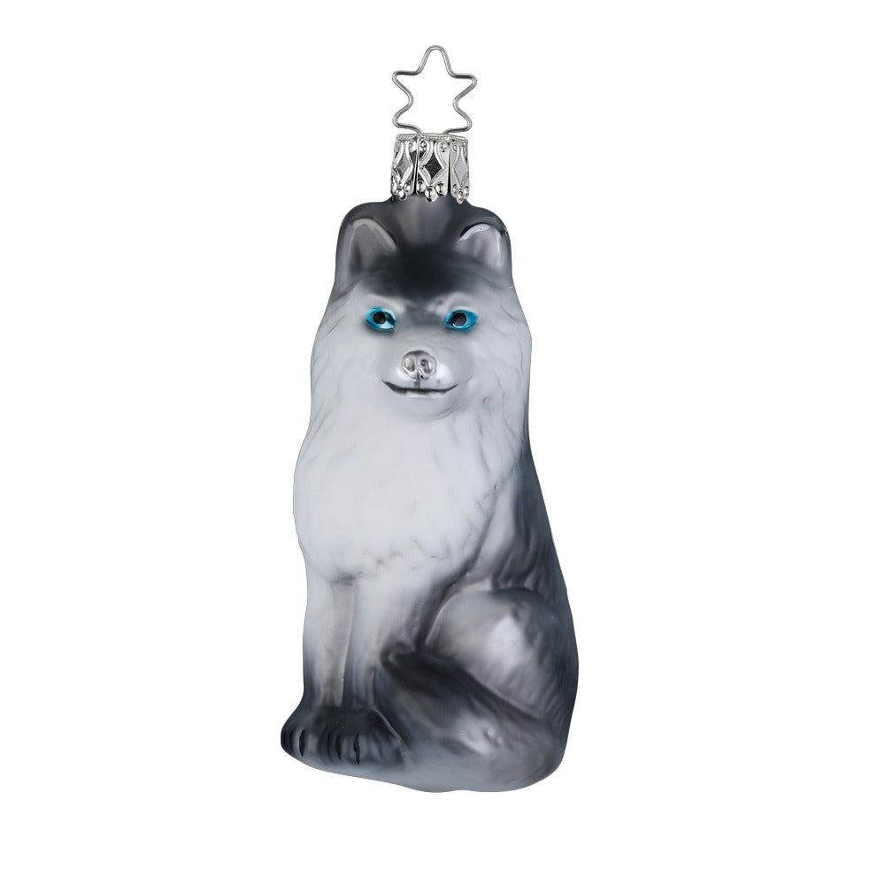 inge-glas-husky-grau-10-5-cm image 1