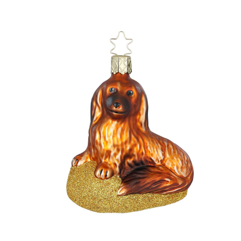 inge-glas-langhaardackel-christbaumkugel-9-cm image 1