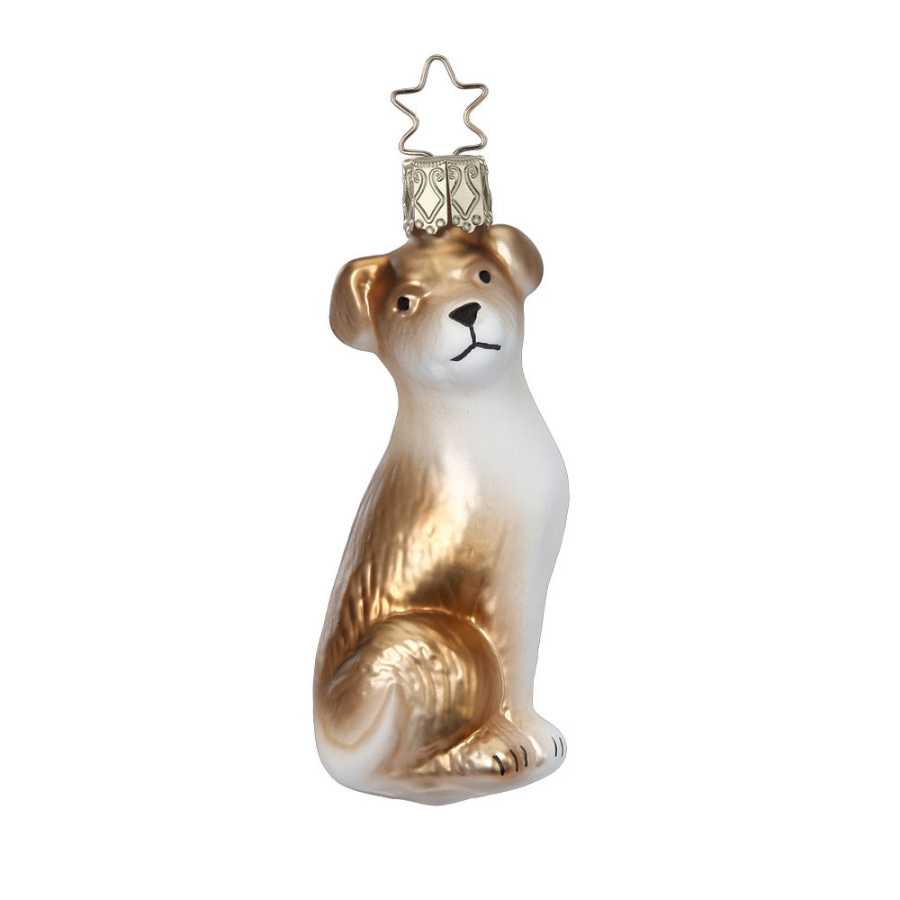 inge-glas-jack-russell-christbaumkugel-aus-glas-9-5-cm image 1