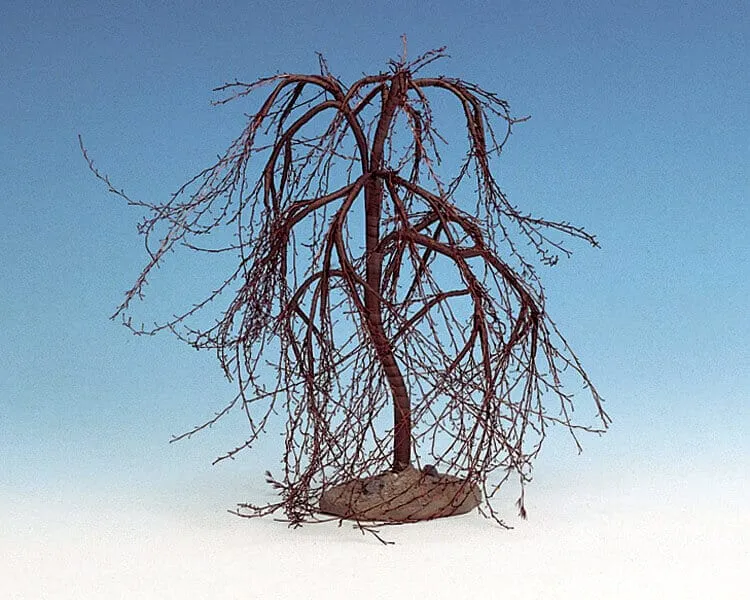 lemax-winter-willow-medium-miniatur-baum-spooky-town image 1