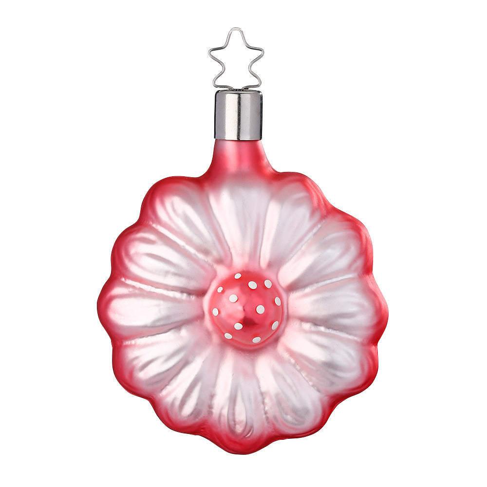 inge-glas-gebera-christbaumkugel-rosarot-8-cm image 1
