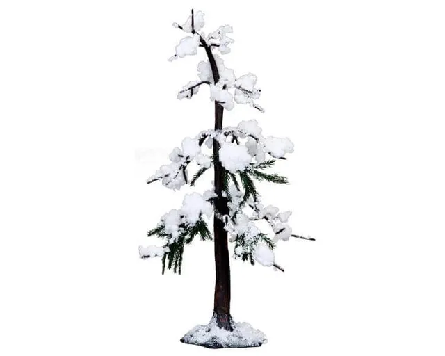 lemax-scotch-pine-tree-large-gro-er-mini-tannenbaum image 1