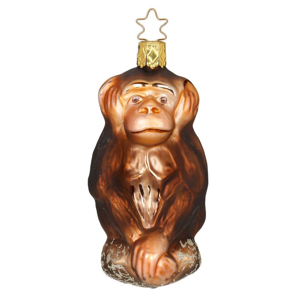 inge-glas-nichts-h-ren-christbaumkugel-10-cm image 1